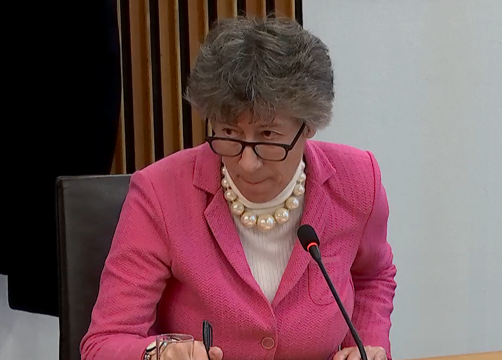 Liz Smith MSP at the finance committee