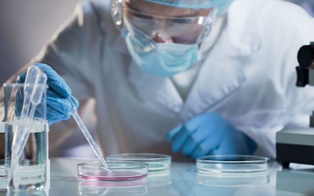 Hopes over ‘magic bullet' cancer treatment